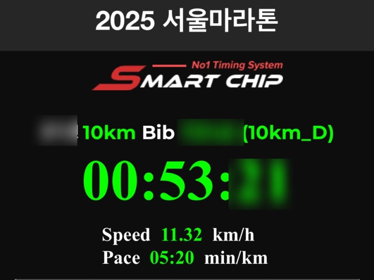 2025 서울마라톤 참가 후기 🏃‍♀️🏃‍♂️🏃