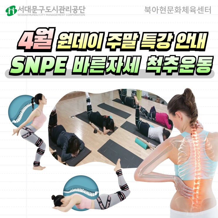 [4월 원데이 특강 ②] SNPE 바른자세 척추운동 : 네이버 블로그