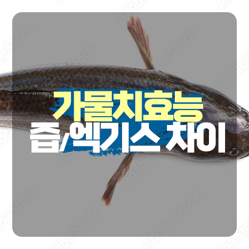가물치 효능 가물치 즙 엑기스 어느것이 좋을까? : 네이버 블로그