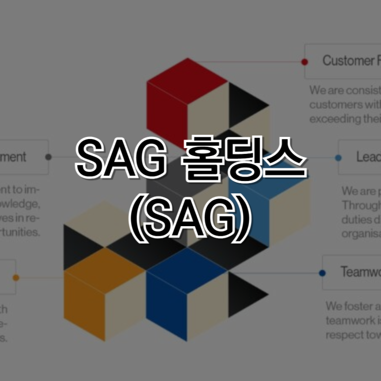 자동차 부품 유통의 강자, SAG 홀딩스(SAG)의 현재와 미래 : 네이버 블로그
