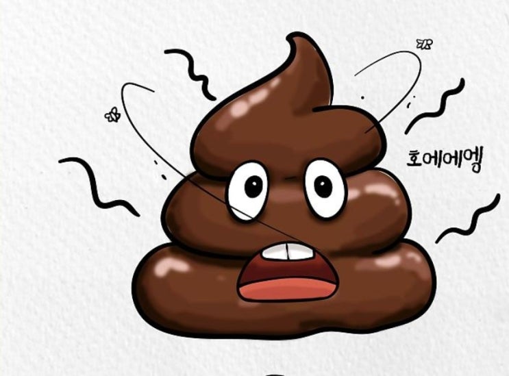 하루에 똥 3번? 정상일까? 내 장 건강 체크하는 법 : 네이버 블로그