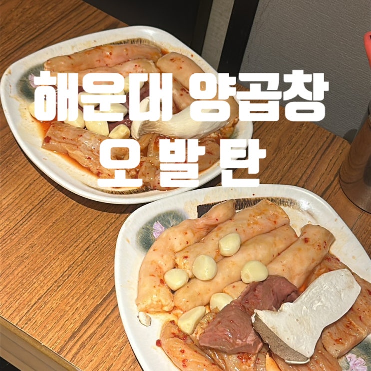 부산맛집: 특양 양대창이 맛있는 해운대 오발탄(25년 3월) : 네이버 블로그