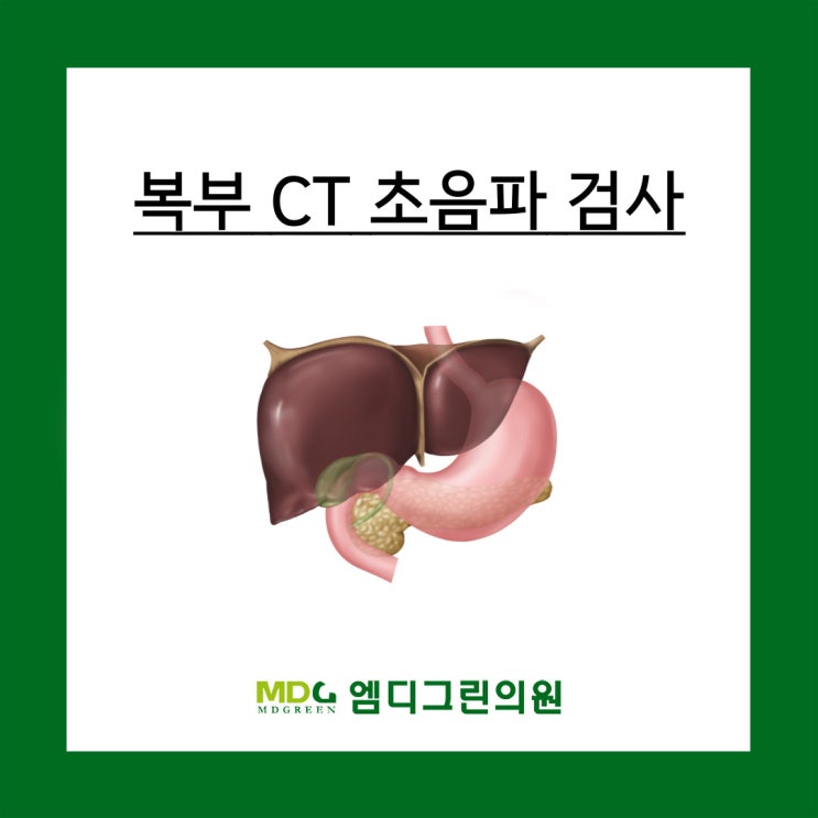 복부 CT 초음파 검사 방법과 간 담도 췌장 질환, 결과 등 : 네이버 블로그