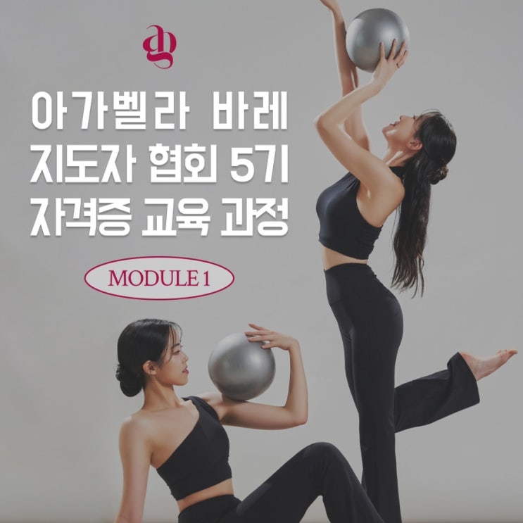 바레 자격증을 알아보고 계신가요? [아가벨라 바레 지도자 협회 ] : 네이버 블로그
