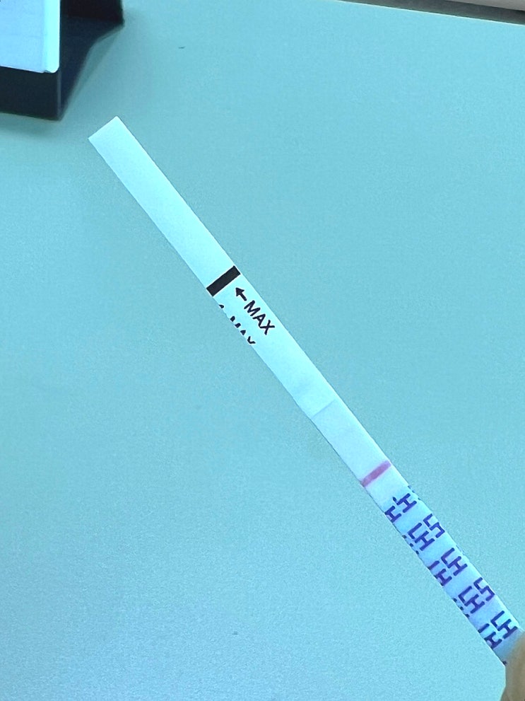 다이소 원포 배란기 테스트 시간 사용방법 : 네이버 블로그