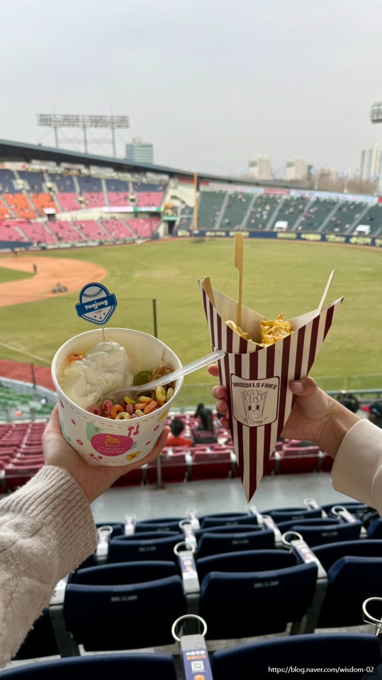  [⚾️ LG가 승리한 잠실 야구장] +요아정, 브뤼셀프라이 : 네이버 블로그 
