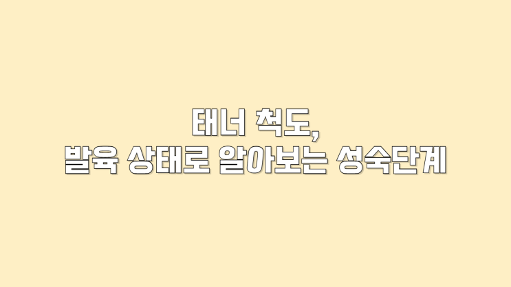 발육상태로 알아보는 우리 아이 성조숙 단계, 태너 척도 [경희아이들한방소아과한의원] : 네이버 블로그