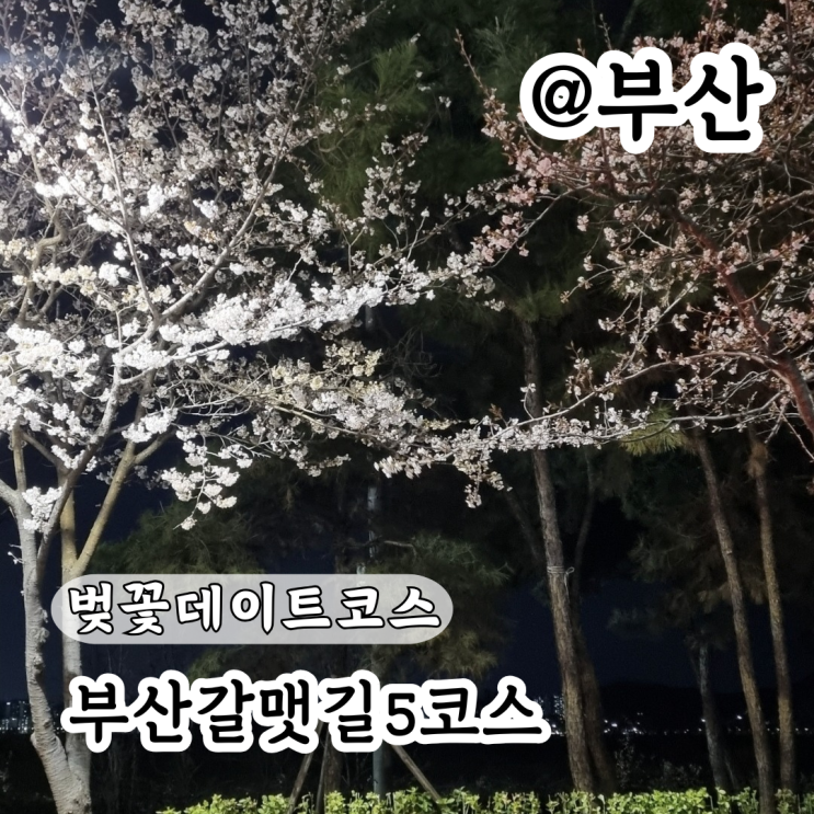 부산 갈맷길 명지오션시티 산책 벚꽃데이트코스