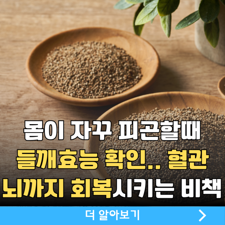 들깨효능, 들깨가루효능 6가지, 이건 몰랐지? : 네이버 블로그