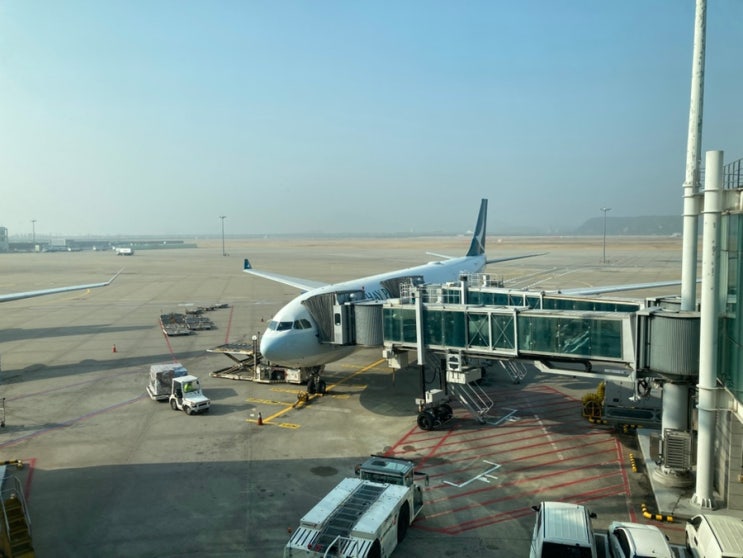 캐세이퍼시픽 CX417/CX418 이코노미 탑승 후기(2025년 3월) : 네이버 블로그