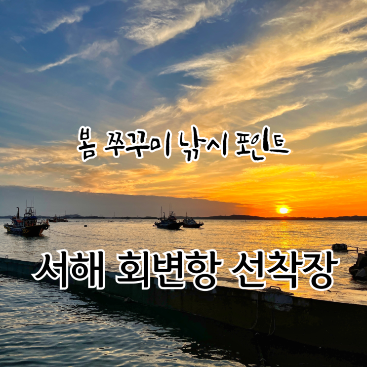 서해 워킹 봄 쭈꾸미 낚시 포인트(회변항 선착장) : 네이버 블로그