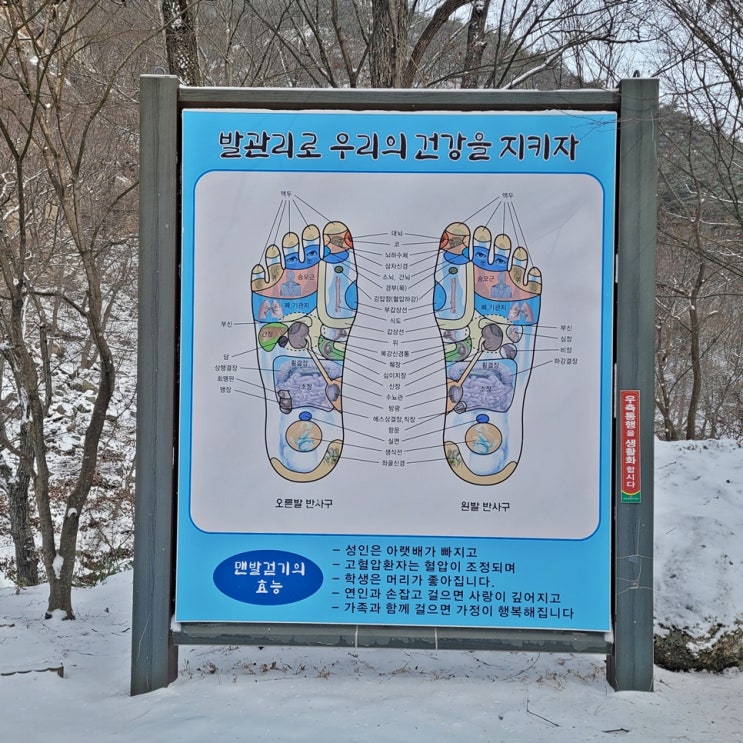 발지압점 정리, 발지압 지압슬리퍼 효과 한 눈에 : 네이버 블로그