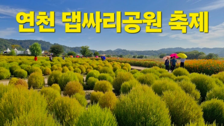 연천 가볼만한곳 댑싸리공원 댑사리공원 댑사리정원 축제 가이드 : 네이버 블로그