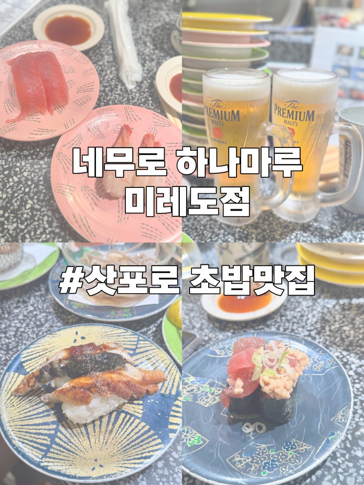 삿포로 맛집 추천/ 가성비 좋은 회전초밥 맛집 네무로 하나마루 미....