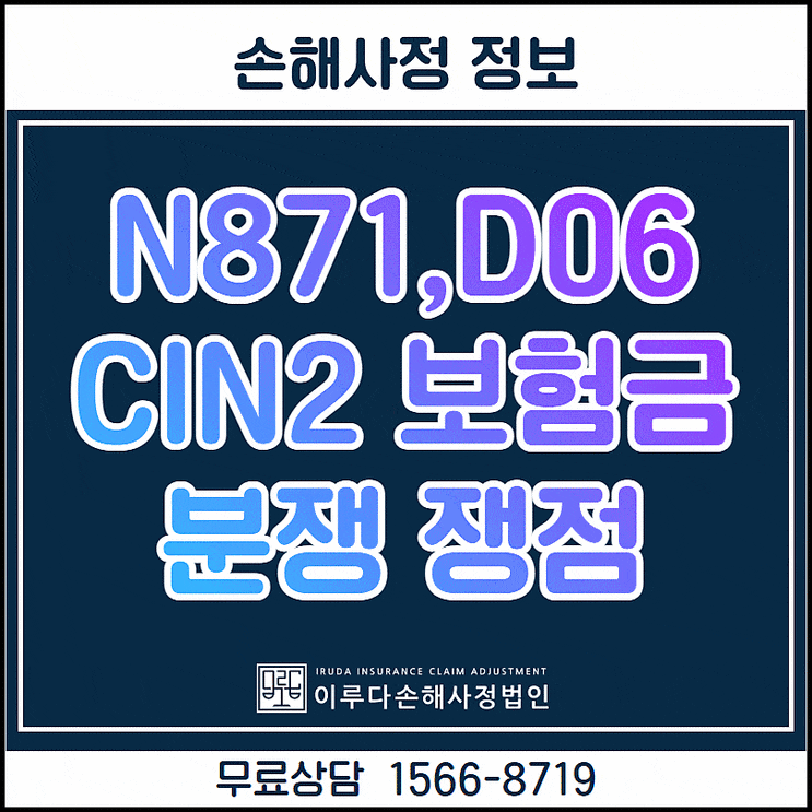 자궁경부이형성증 상피내암 N871 진단비 분쟁 포괄적으로 들여다보기 : 네이버 블로그