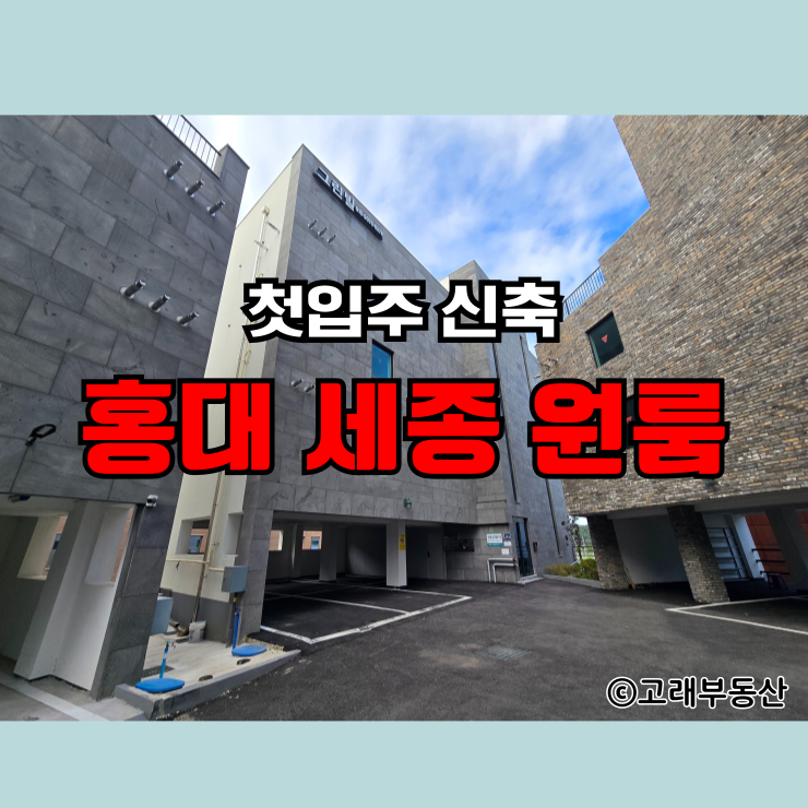 [홍익대 세종캠퍼스 원룸]첫 입주 신축! 층별 구조&임대 조건 정리