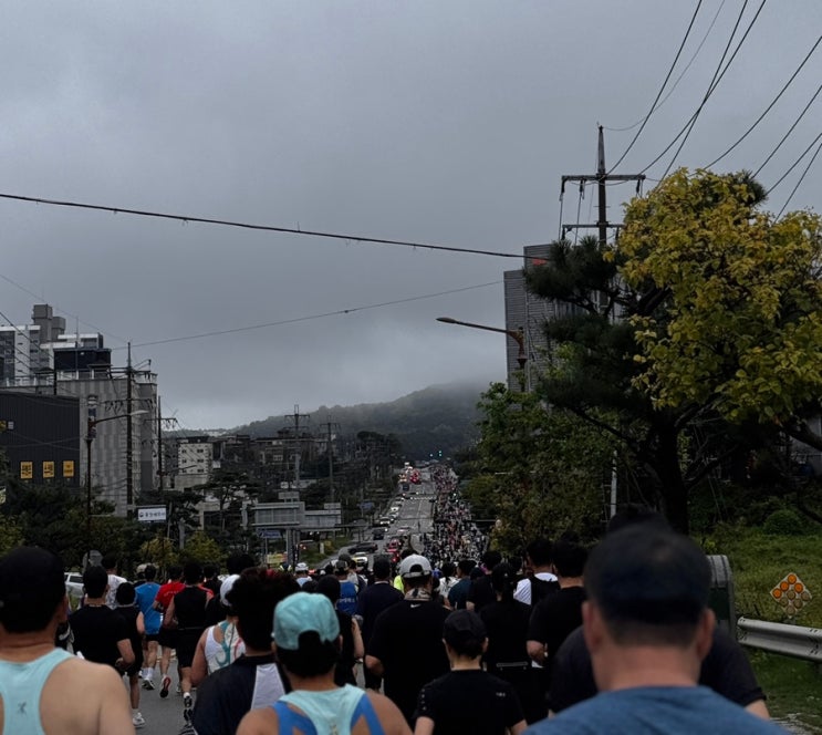 [마라톤리뷰] 🏃🏻‍♀️‍➡️ 이봉주 보스턴 제패기념 제25회 홍성마라톤 참가 후기