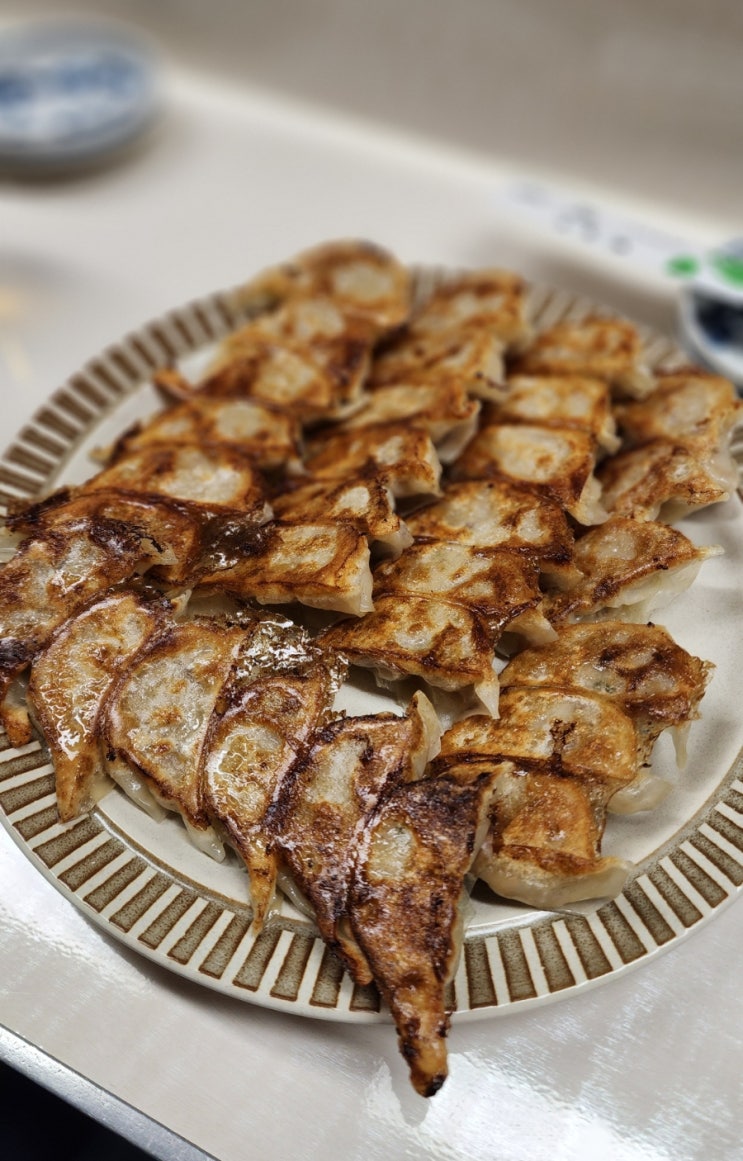 [일본/벳푸] 1시간 줄서서 먹는 벳푸 현지인 교자 맛집 '교자 코게츠'....