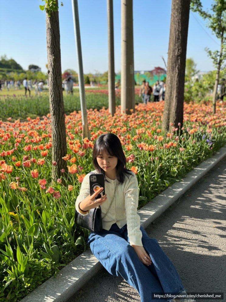 충청도 천안 공주 여행 가볼만한곳 추천, 병천순대거리맛집 뚜쥬루 피나클랜드 튤립축제 : 네이버 블로그
