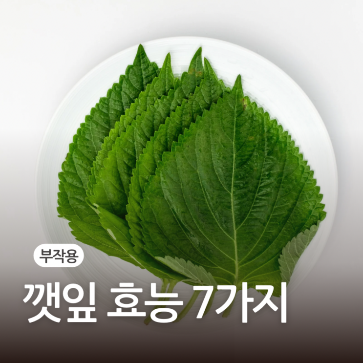 깻잎 효능 7가지 및 부작용 : 네이버 블로그