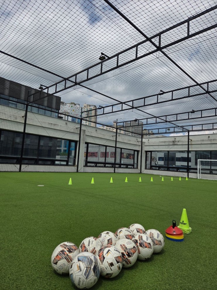 TOFA Football Center에서 재미도 운동도 제대로 느끼고 있어요 : 네이버 블로그