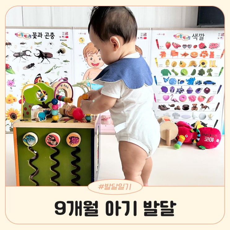 9개월 아기 발달 간식 이유식 장난감 : 네이버 블로그