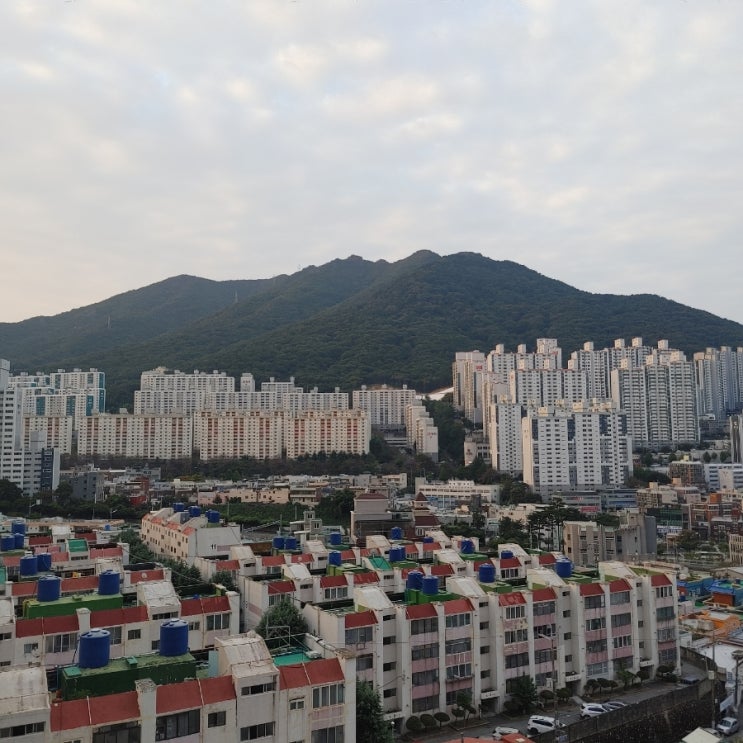 2025.10.2 : 네이버 블로그