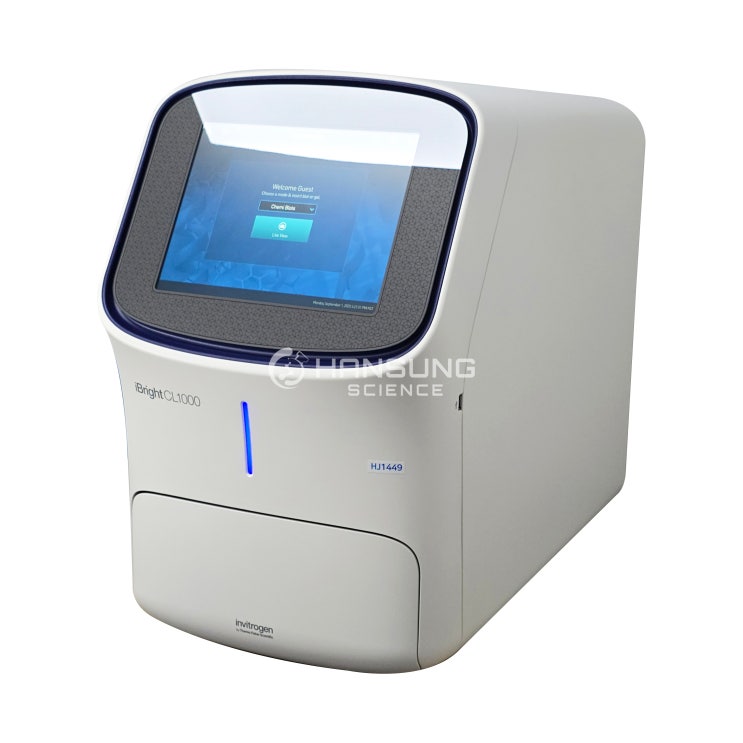 Thermo Scientific Invitrogen iBright CL1000 Imaging System , 이미지 분석시스템 ...