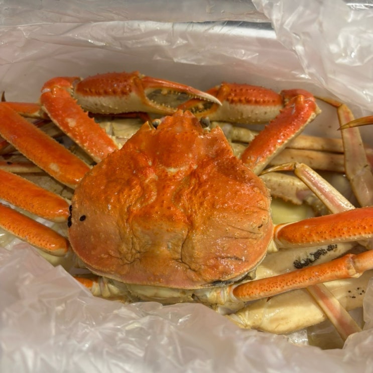 명구푸드 러시아 자숙 대게 3kg 내돈내산 후기 : 네이버 블로그