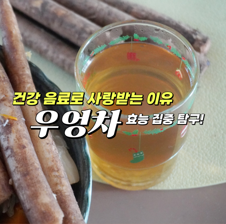 우엉차 효능과 임산부 우엉차 섭취 시 알아둘 점 : 네이버 블로그