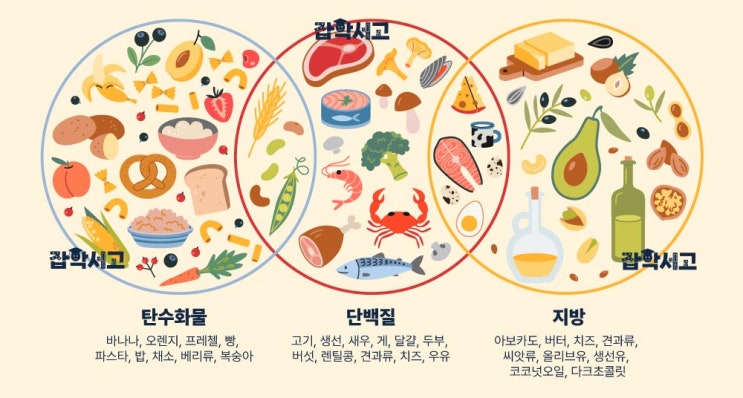 우리 몸에 필요한 필수 영양소 종류와 해당 음식들 : 네이버 블로그