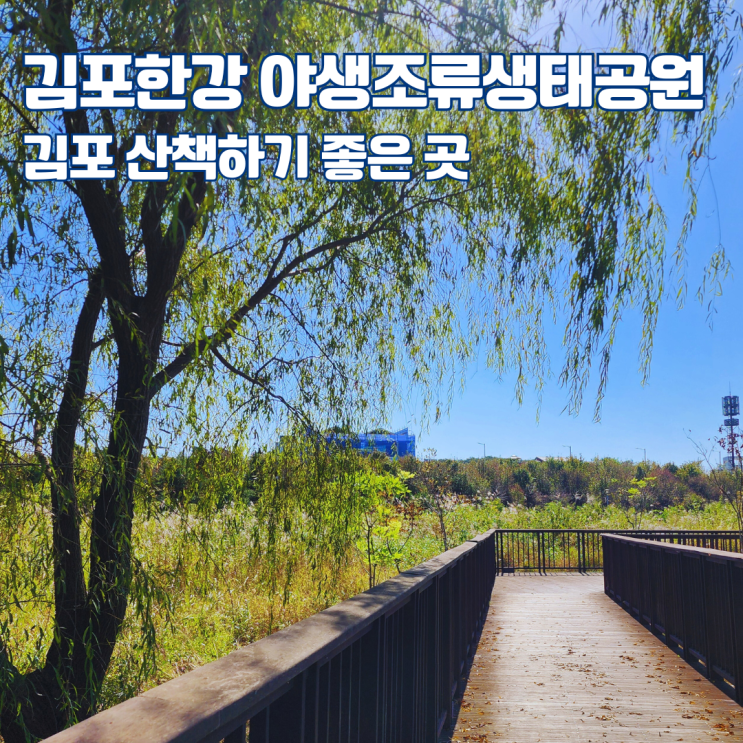 김포 한강 야생조류 생태공원 가는 길 주차장 서울 근교 산책 가볼만한 곳 : 네이버 블로그