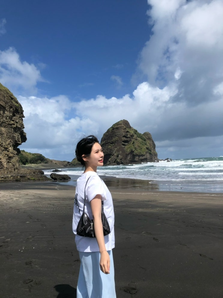 뉴질랜드 워홀 #42. D+102 피하비치 Piha beach / 카레카레폭포 karekare falls