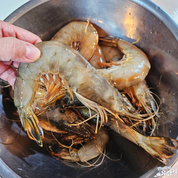 10월제철해산물 자연산 대하 철 들어봤나 홍대 새우 집에서 대하구이 : 네이버 블로그