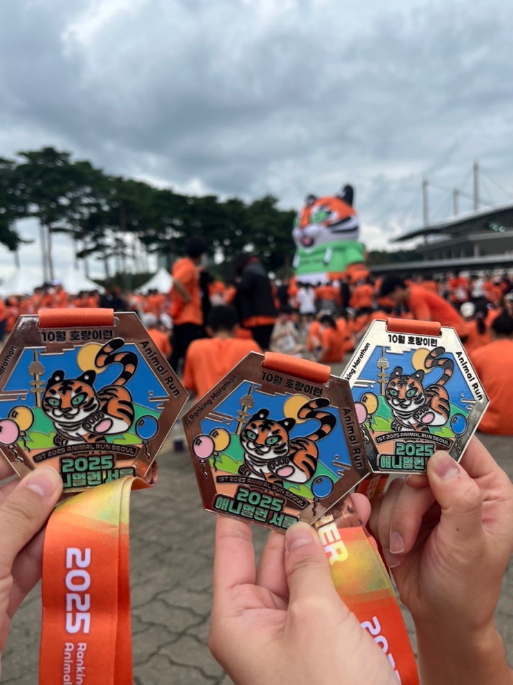 [2025 애니멀런 서울] 10월 호랑이런 어흥런 10KM 마라톤 참가 후기