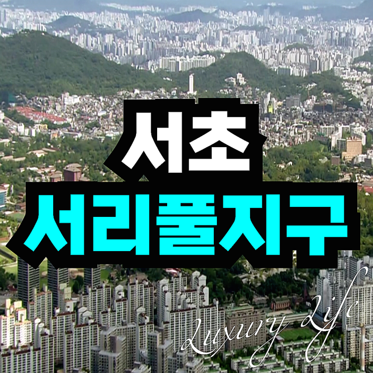 서초 서리풀지구 위치 공공분양 개발 보상은? : 네이버 블로그
