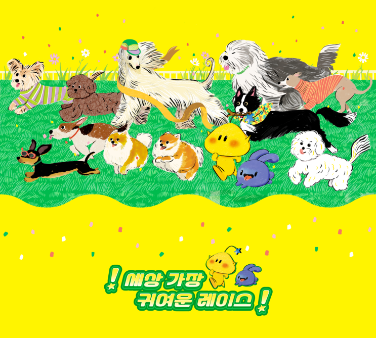 댕댕런2025 in 대전 신청 후기