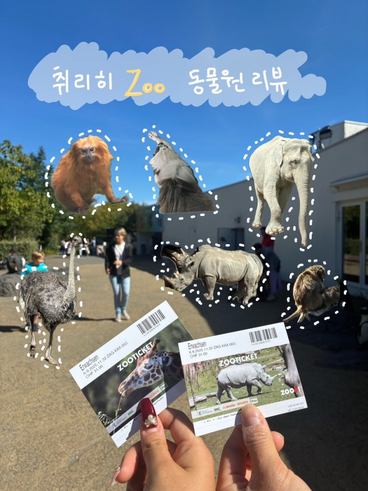 [취리히 동물원 여행코스] 반나절로 즐기는 스위스 동물원 & 방문 전....