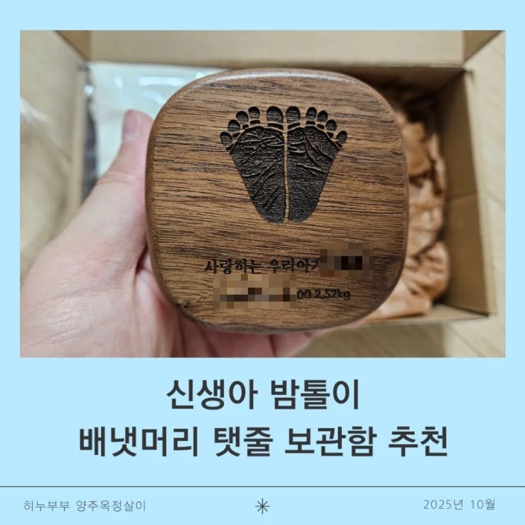 신생아 밤톨이 배냇머리 탯줄 보관함 추천 : 네이버 블로그