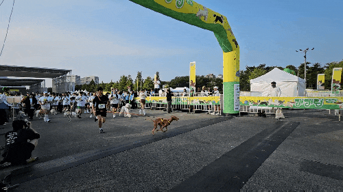 댕댕런2025 in 대전 후기 반려견 러닝 축제 현장 스케치