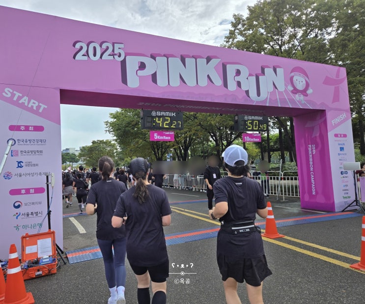 서울마라톤 2025 핑크런 5km 참가 후기