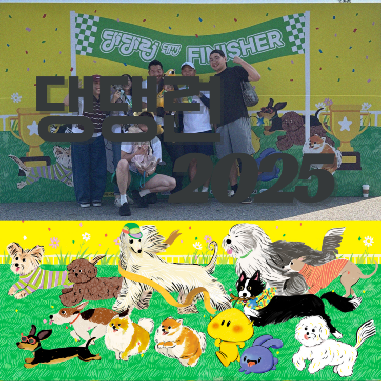 임산부의 댕댕런2025 in 대전 5Km 완주 후기!