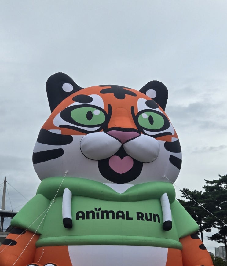 2025 애니멀런 서울 호랑이런 5km 달리기 기록 완주 마라톤 후기