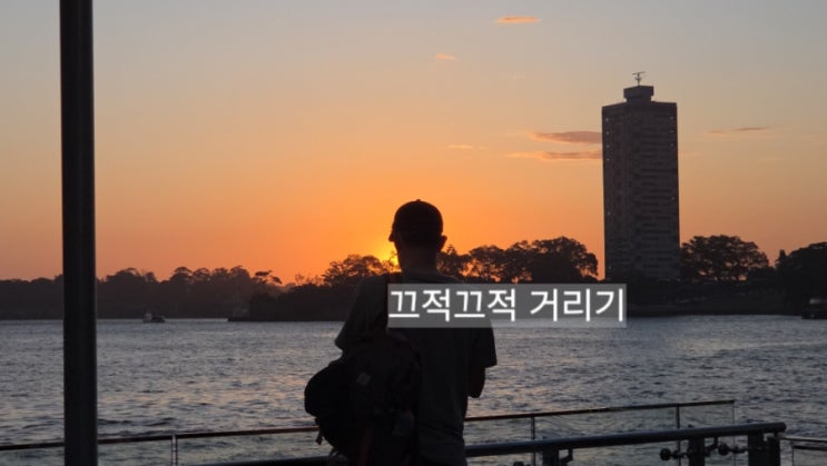 [시드니, Day 05] 여행 절반, 쉬어가기 :: 샤크비치, 루나파크 시드니