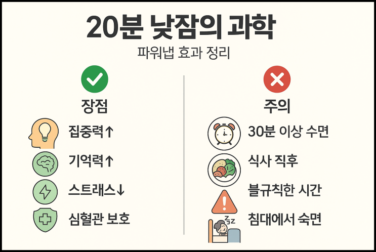 낮잠 20분의 건강학 – 효과적인 파워냅은? : 네이버 블로그