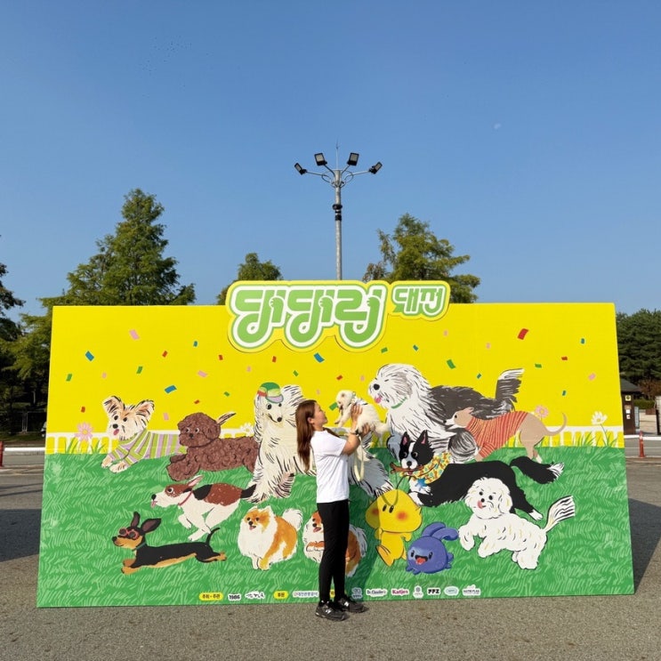 댕댕런2025 in 대전  세상에서 가장 귀여운개라톤 5k완주 후기