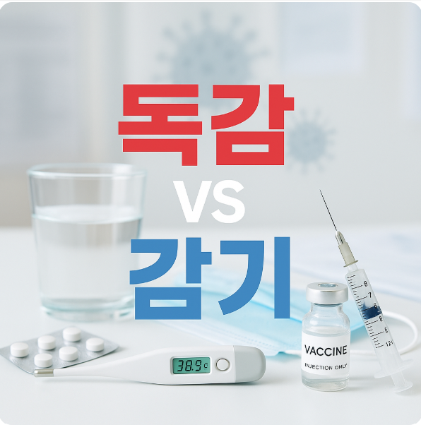 독감 감기 차이점 다른 점 원인 증상 치료 유행 시기 전염력 잠복기 예방 상기도 감염질환 인플루엔자 바이러스 : 네이버 블로그
