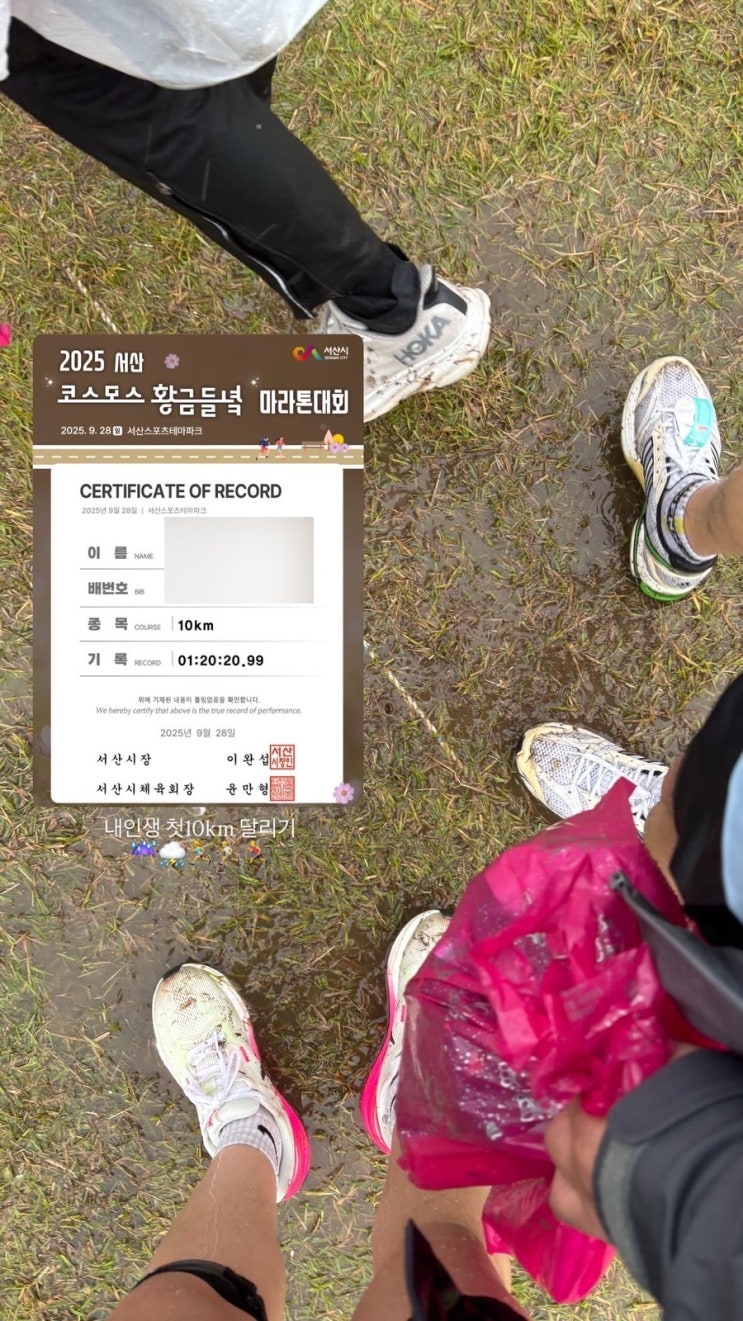 러닝초보의 2025 서산 코스모스 황금들녘 마라톤 후기!