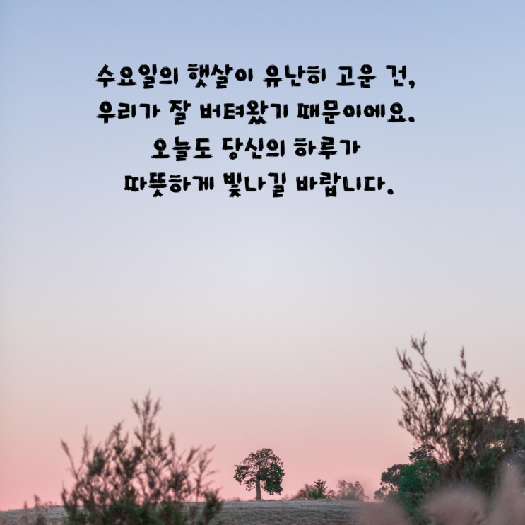 수요일 아침 인사말 문구 이미지 모음집 : 네이버 블로그