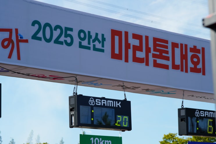 2025 안산마라톤대회 포도 직판장 소비쿠폰 사용 후기